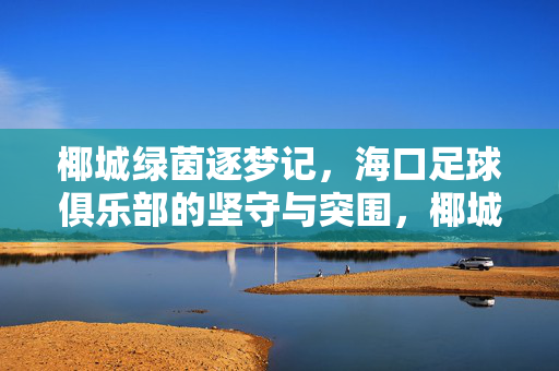 椰城绿茵逐梦记，海口足球俱乐部的坚守与突围，椰城绿茵逐梦，海口足球坚守与突围