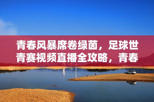 青春风暴席卷绿茵，足球世青赛视频直播全攻略，青春风暴席卷绿茵，足球世青赛直播全攻略