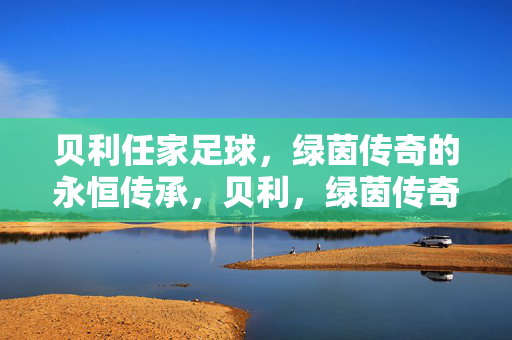贝利任家足球，绿茵传奇的永恒传承，贝利，绿茵传奇的永恒传承