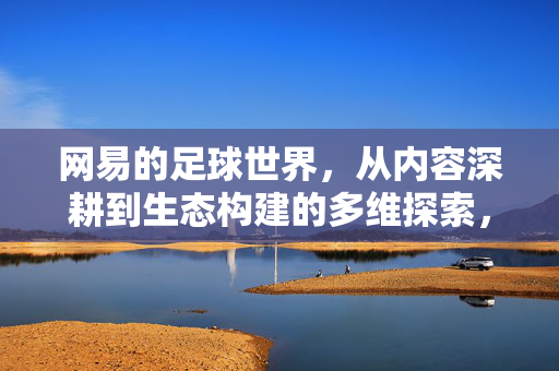 网易的足球世界，从内容深耕到生态构建的多维探索，网易足球世界，内容深耕到生态构建的多维探索