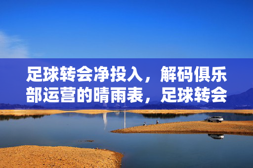 足球转会净投入，解码俱乐部运营的晴雨表，足球转会净投入，解码俱乐部运营的晴雨表