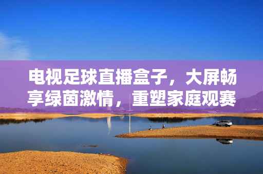 电视足球直播盒子，大屏畅享绿茵激情，重塑家庭观赛新体验，电视足球直播盒子，大屏畅享绿茵激情，重塑家庭观赛新体验
