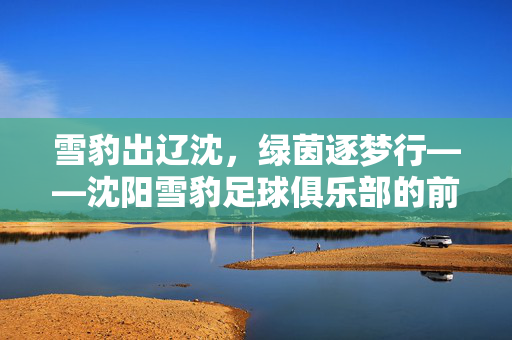 雪豹出辽沈，绿茵逐梦行——沈阳雪豹足球俱乐部的前行之路，雪豹出辽沈，绿茵逐梦行