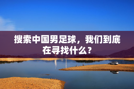 搜索中国男足球，我们到底在寻找什么？