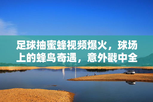 足球抽蜜蜂视频爆火，球场上的蜂鸟奇遇，意外戳中全网笑点，足球抽蜜蜂遇蜂鸟，球场爆笑瞬间火遍全网