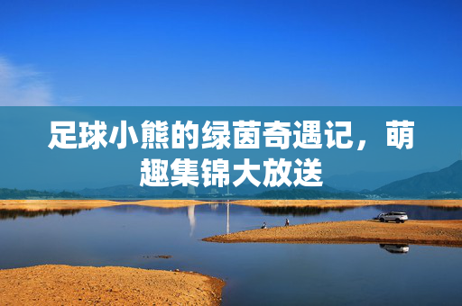 足球小熊的绿茵奇遇记，萌趣集锦大放送