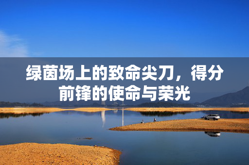 绿茵场上的致命尖刀，得分前锋的使命与荣光