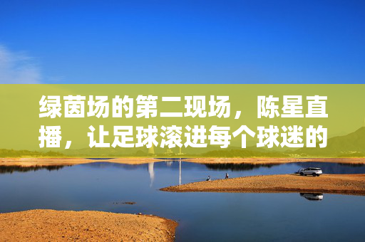 绿茵场的第二现场，陈星直播，让足球滚进每个球迷的心里，绿茵场第二现场，陈星直播，足球滚进球迷心