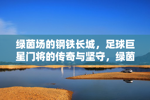绿茵场的钢铁长城，足球巨星门将的传奇与坚守，绿茵场钢铁长城，门将的传奇与坚守