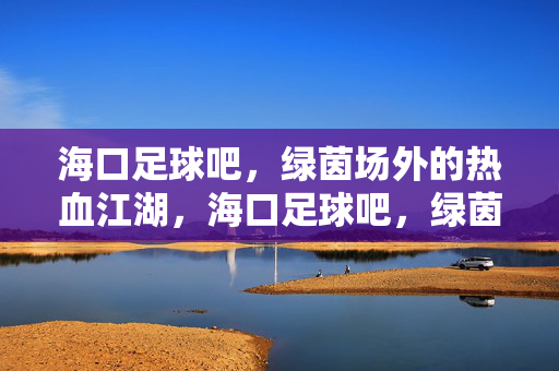 海口足球吧，绿茵场外的热血江湖，海口足球吧，绿茵场外的热血江湖