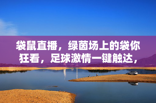袋鼠直播，绿茵场上的袋你狂看，足球激情一键触达，袋鼠直播，绿茵场袋你狂看，足球激情一键触达