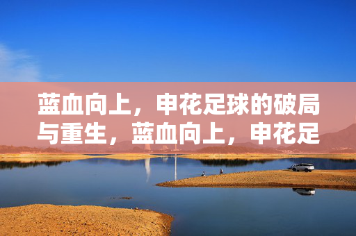 蓝血向上，申花足球的破局与重生，蓝血向上，申花足球的破局与重生