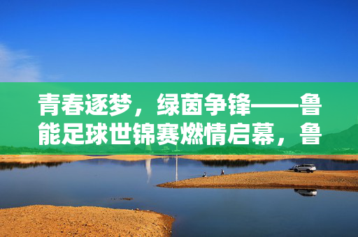 青春逐梦，绿茵争锋——鲁能足球世锦赛燃情启幕，鲁能足球世锦赛燃情启幕，青春逐梦绿茵争锋