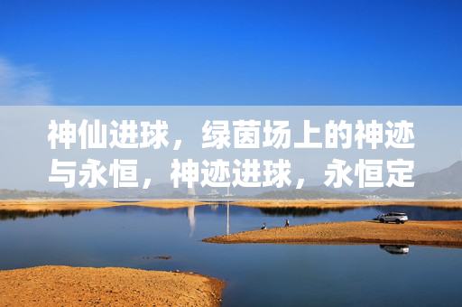 神仙进球，绿茵场上的神迹与永恒，神迹进球，永恒定格
