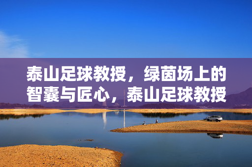 泰山足球教授，绿茵场上的智囊与匠心，泰山足球教授，绿茵场上的智囊与匠心