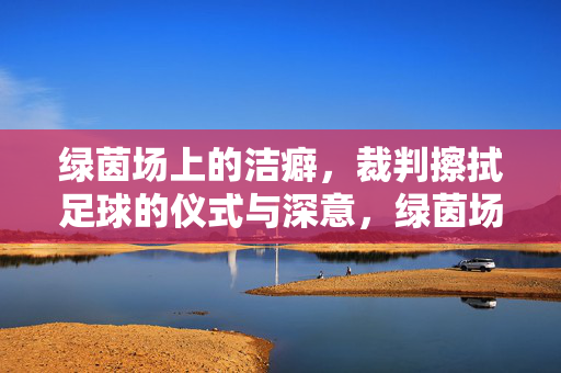绿茵场上的洁癖,裁判擦拭足球的仪式与深意,绿茵场上的洁癖仪式,裁判擦拭足球的深意