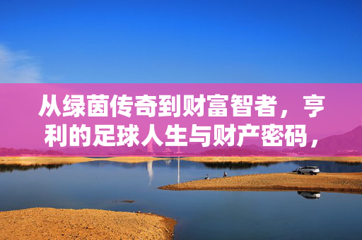 从绿茵传奇到财富智者，亨利的足球人生与财产密码，亨利，从绿茵传奇到财富智者的人生密码