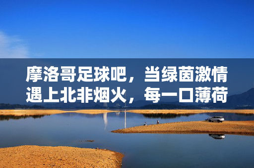 摩洛哥足球吧,当绿茵激情遇上北非烟火,每一口薄荷茶都泡着雄狮的嘶吼,北非烟火泡绿茵雄狮,摩洛哥足球的薄荷茶嘶吼