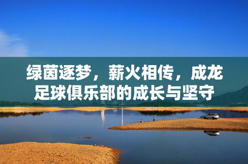 绿茵逐梦，薪火相传，成龙足球俱乐部的成长与坚守