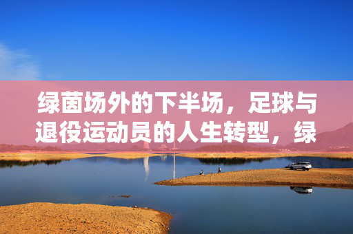 绿茵场外的下半场，足球与退役运动员的人生转型，绿茵场外的下半场，足球与退役运动员的人生转型