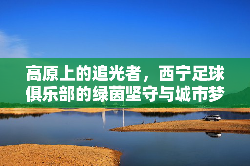 高原上的追光者，西宁足球俱乐部的绿茵坚守与城市梦想，高原追光者，西宁足球的绿茵坚守与城市梦想