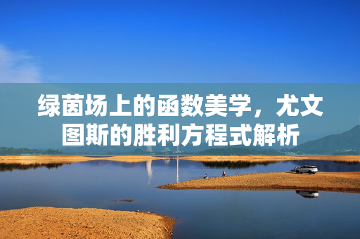 绿茵场上的函数美学，尤文图斯的胜利方程式解析
