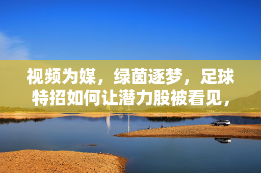 视频为媒，绿茵逐梦，足球特招如何让潜力股被看见，视频为媒，足球特招让绿茵潜力股被看见