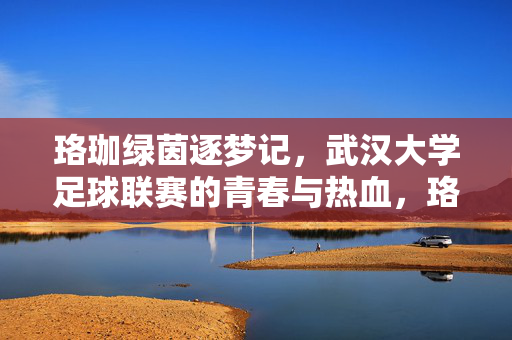 珞珈绿茵逐梦记，武汉大学足球联赛的青春与热血，珞珈绿茵逐梦记，青春热血的联赛华章