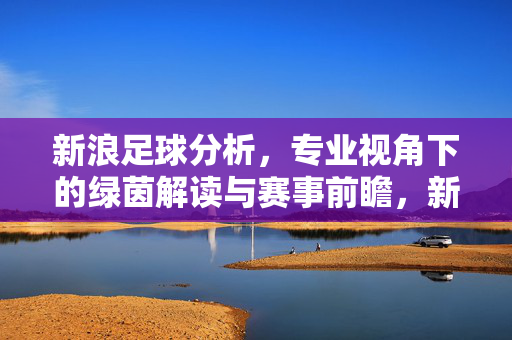 新浪足球分析，专业视角下的绿茵解读与赛事前瞻，新浪足球分析，专业视角下的绿茵解读与赛事前瞻