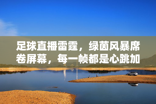 足球直播雷霆，绿茵风暴席卷屏幕，每一帧都是心跳加速，雷霆绿茵风暴，直播心跳每一帧