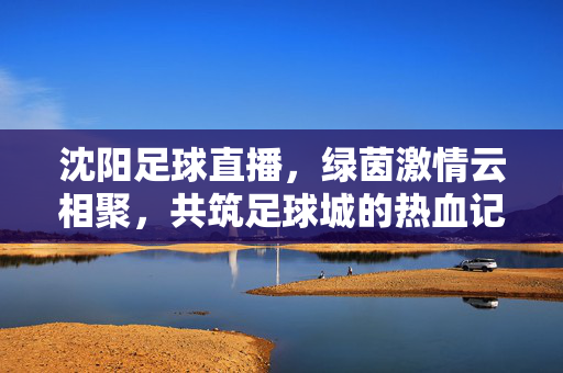 沈阳足球直播，绿茵激情云相聚，共筑足球城的热血记忆，沈阳足球直播，绿茵激情云聚，共筑足球城热血记忆