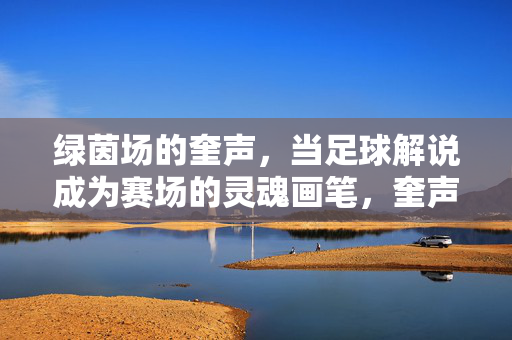 绿茵场的奎声，当足球解说成为赛场的灵魂画笔，奎声绘绿茵，足球解说的灵魂画笔