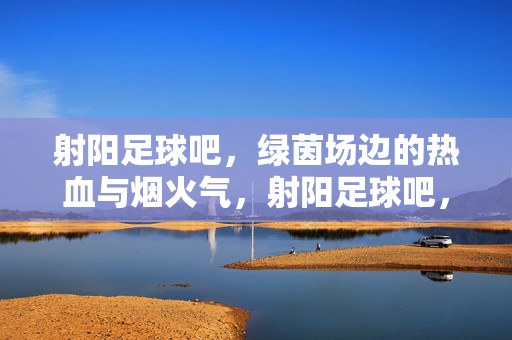 射阳足球吧，绿茵场边的热血与烟火气，射阳足球吧，绿茵场边的热血烟火气