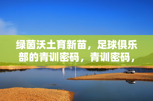 绿茵沃土育新苗，足球俱乐部的青训密码，青训密码，绿茵沃土育新苗