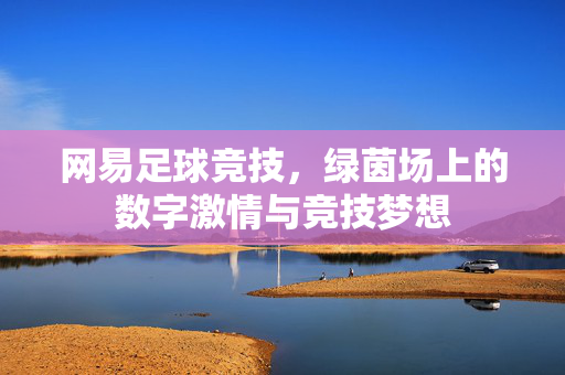 网易足球竞技,绿茵场上的数字激情与竞技梦想