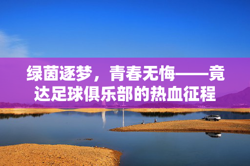 绿茵逐梦，青春无悔——竟达足球俱乐部的热血征程