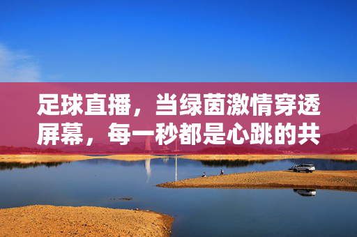 足球直播，当绿茵激情穿透屏幕，每一秒都是心跳的共鸣