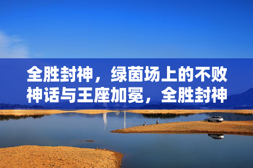 全胜封神，绿茵场上的不败神话与王座加冕，全胜封神，绿茵场不败神话与王座加冕