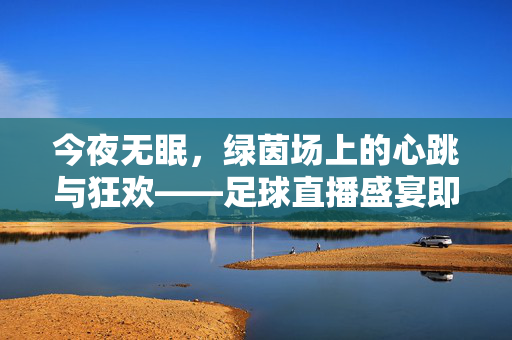 今夜无眠，绿茵场上的心跳与狂欢——足球直播盛宴即将开启，今夜心跳狂欢，绿茵场足球直播盛宴开启