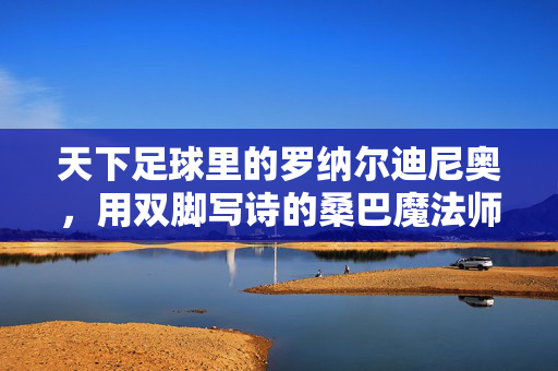 天下足球里的罗纳尔迪尼奥，用双脚写诗的桑巴魔法师