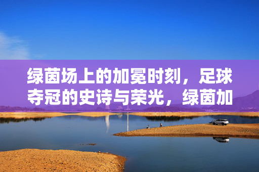 绿茵场上的加冕时刻，足球夺冠的史诗与荣光，绿茵加冕，足球夺冠的史诗荣光