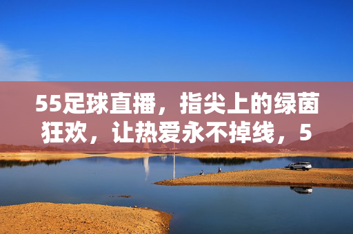 55足球直播，指尖上的绿茵狂欢，让热爱永不掉线，55直播，指尖绿茵，热爱永不掉线