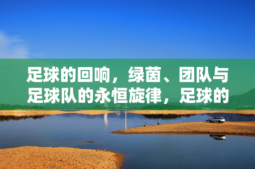 足球的回响，绿茵、团队与足球队的永恒旋律，足球的回响，绿茵与团队的永恒旋律