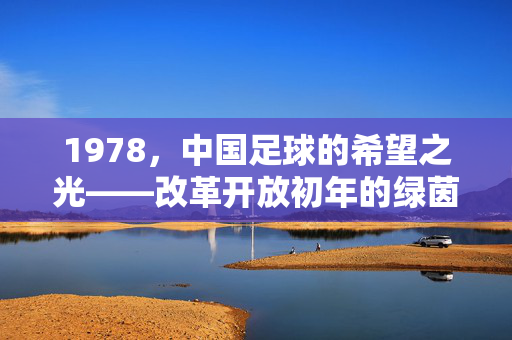1978，中国足球的希望之光——改革开放初年的绿茵记忆，希望之光，1978中国足球的绿茵记忆