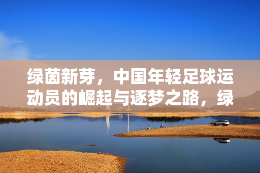 绿茵新芽，中国年轻足球运动员的崛起与逐梦之路，绿茵新芽，中国足球崛起的逐梦新篇