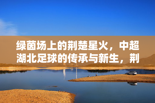 绿茵场上的荆楚星火，中超湖北足球的传承与新生，荆楚星火耀绿茵，湖北足球传承与新生