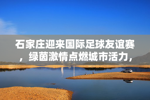 石家庄迎来国际足球友谊赛，绿茵激情点燃城市活力，石家庄国际足球友谊赛点燃城市绿茵激情
