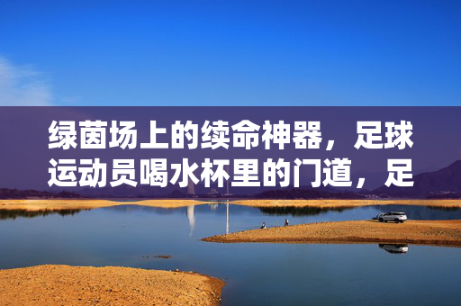 绿茵场上的续命神器，足球运动员喝水杯里的门道，足球运动员喝水杯，绿茵场上的续命门道