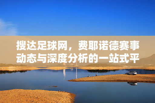 搜达足球网，费耶诺德赛事动态与深度分析的一站式平台，搜达足球网，费耶诺德赛事动态与深度分析一站式平台