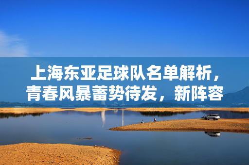 上海东亚足球队名单解析，青春风暴蓄势待发，新阵容展望新赛季，上海东亚青春风暴，新阵容名单解析与展望新赛季